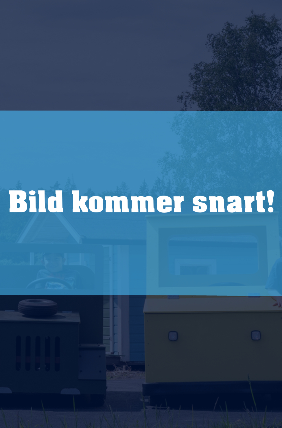 Rallybilar (+4 år)
